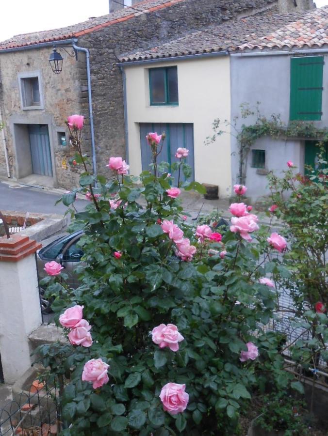 Maison Palmeral Coustaussa Esterno foto