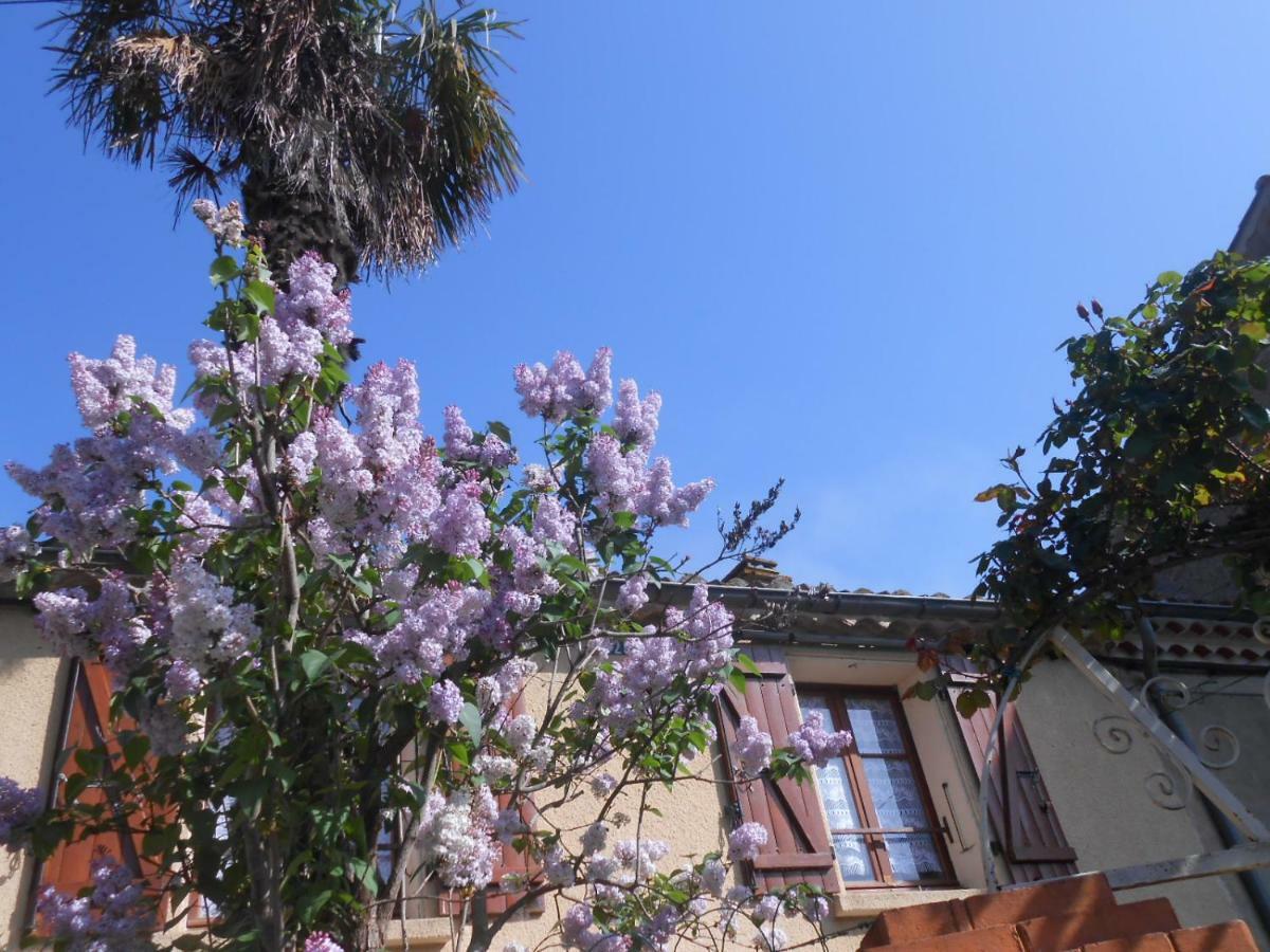 Maison Palmeral Coustaussa Esterno foto